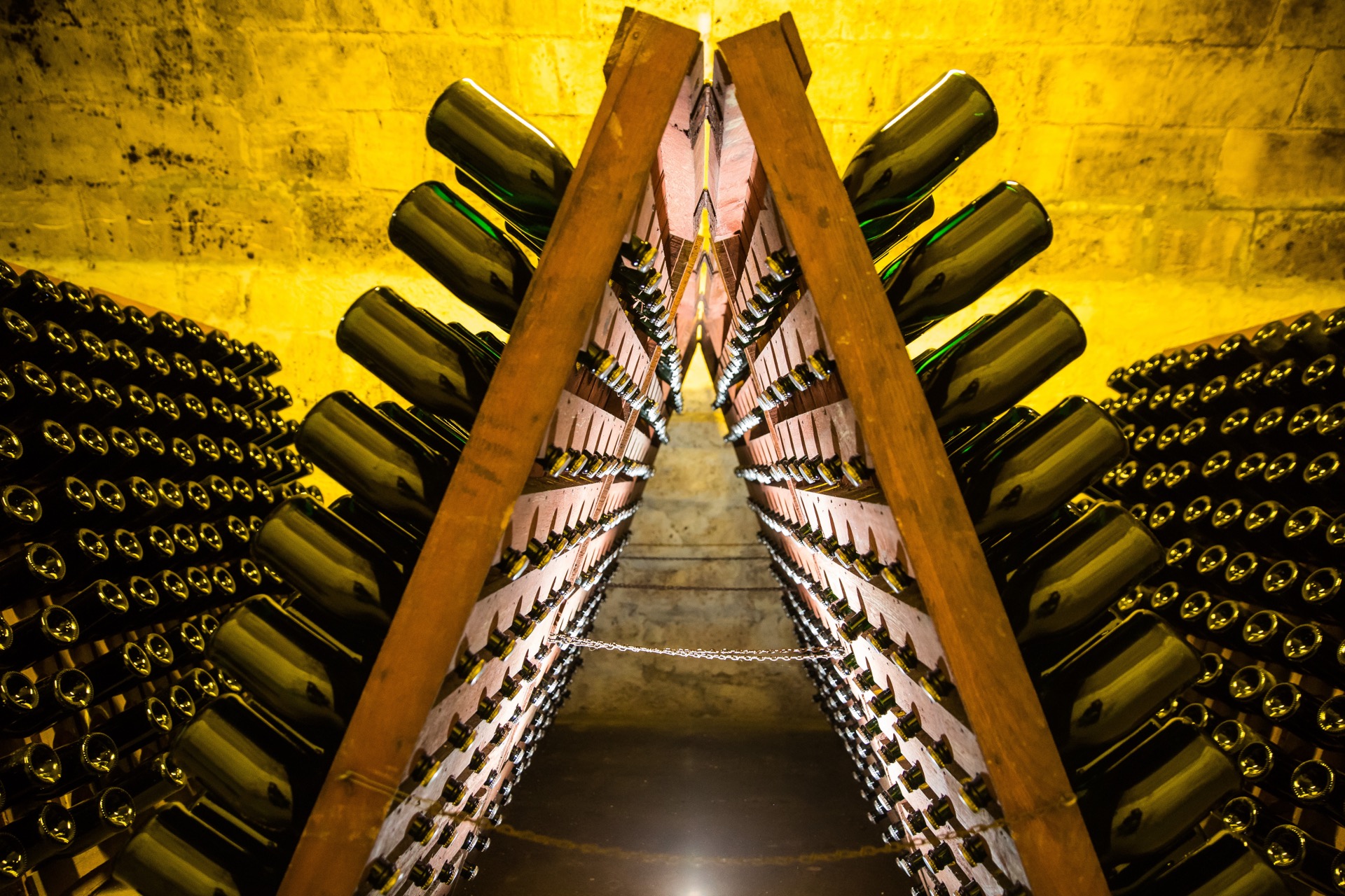 Champagne bottles maturing in cellar racks